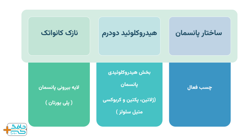 بررسی ساختار پانسمان هیدروکلوئید دودرم نازک کانواتک